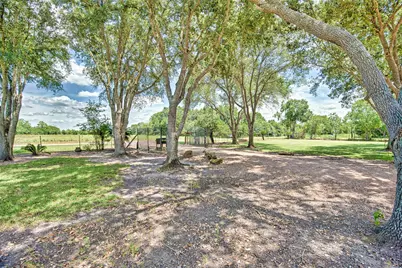 23104 Hopkins Lane, Damon, TX 77430 - Photo 35