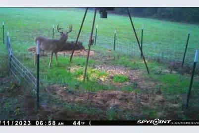 0000 Magee Bend Loop, Groveton, TX 75845 - Photo 3
