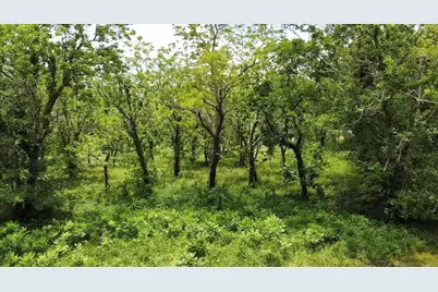 0 County Road 36, Angleton, TX 77515 - Photo 5