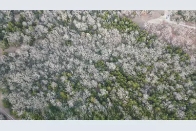 Tbd County Road 427, Normangee, TX 77584 - Photo 7