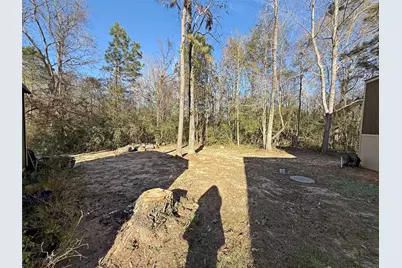 291 Leaning Oak Drive, Point Blank, TX 77364 - Photo 7