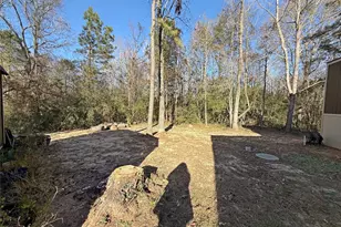 291 Leaning Oak Dr, Point Blank, TX 77364 - Photo 7