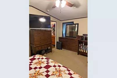 291 Leaning Oak Drive, Point Blank, TX 77364 - Photo 19