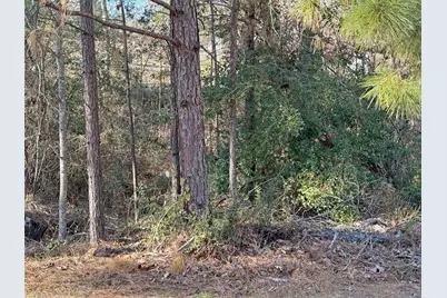 291 Leaning Oak Drive, Point Blank, TX 77364 - Photo 37