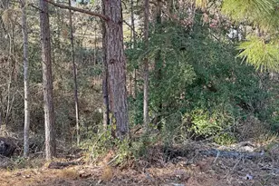 291 Leaning Oak Dr, Point Blank, TX 77364 - Photo 37