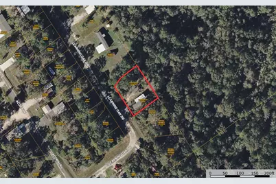 291 Leaning Oak Drive, Point Blank, TX 77364 - Photo 9