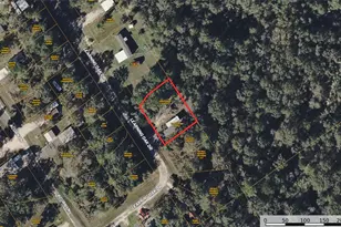 291 Leaning Oak Dr, Point Blank, TX 77364 - Photo 9