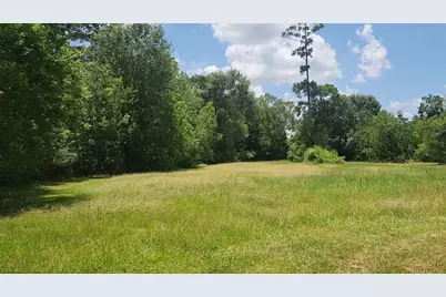 Tbd Terri Lane, Magnolia, TX 77355 - Photo 19