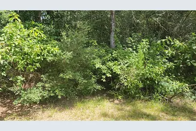 Tbd Terri Lane, Magnolia, TX 77355 - Photo 25