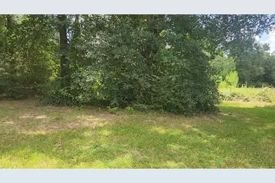 Tbd Terri Lane, Magnolia, TX 77355 - Photo 33