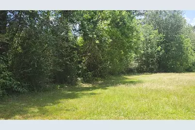 Tbd Terri Lane, Magnolia, TX 77355 - Photo 17