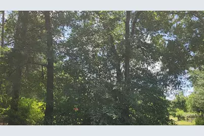 Tbd Terri Lane, Magnolia, TX 77355 - Photo 27