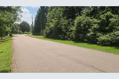 Tbd Terri Lane, Magnolia, TX 77355 - Photo 13
