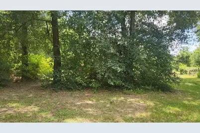 Tbd Terri Lane, Magnolia, TX 77355 - Photo 29
