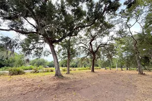 Lot 12A1 Cr 345, Brazoria, TX 77422 - Photo 1