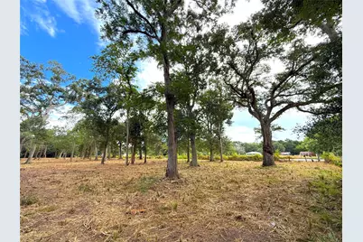 Lot 12A1 Cr 345, Brazoria, TX 77422 - Photo 3