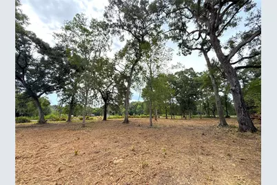 Lot 12A1 Cr 345, Brazoria, TX 77422 - Photo 5