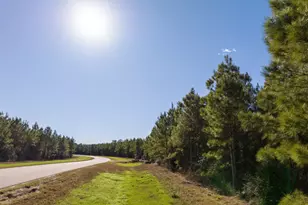 15715 Ridge Rock Rd, Willis, TX 77378 - Photo 5