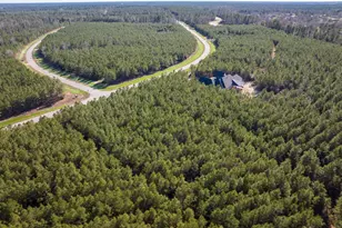 15715 Ridge Rock Rd, Willis, TX 77378 - Photo 11