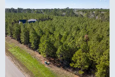 15715 Ridge Rock Road, Willis, TX 77378 - Photo 3