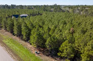 15715 Ridge Rock Rd, Willis, TX 77378 - Photo 3