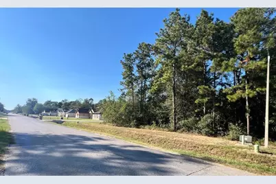 1001 Road 6609, Dayton, TX 77535 - Photo 5