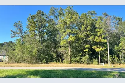 1001 Road 6609, Dayton, TX 77535 - Photo 3