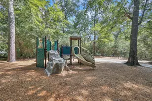 31 E Amberglow Cir, The Woodlands, TX 77381 - Photo 45