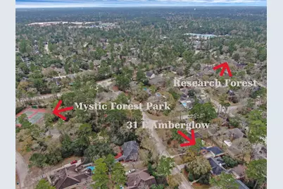 31 E Amberglow Circle, The Woodlands, TX 77381 - Photo 39