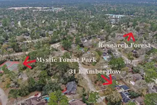 31 E Amberglow Cir, The Woodlands, TX 77381 - Photo 39