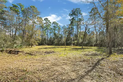 1522 Woodhue Drive, Spring, TX 77386 - Photo 7