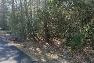 137 Paradise Valley Dr, Conroe, TX 77304 - Photo 1