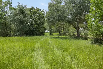 16204 Newberg Rd, Cat Spring, TX 78933 - Photo 19