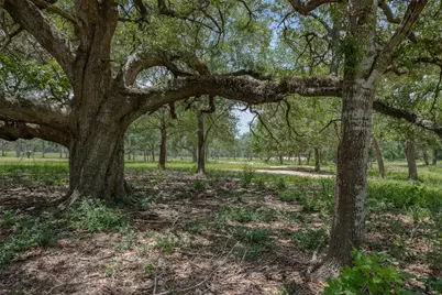 16204 Newberg Rd, Cat Spring, TX 78933 - Photo 17