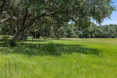 16204 Newberg Rd, Cat Spring, TX 78933 - Photo 23