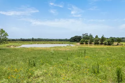 16204 Newberg Rd, Cat Spring, TX 78933 - Photo 15