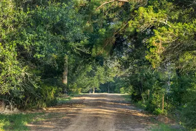 16204 Newberg Rd, Cat Spring, TX 78933 - Photo 27