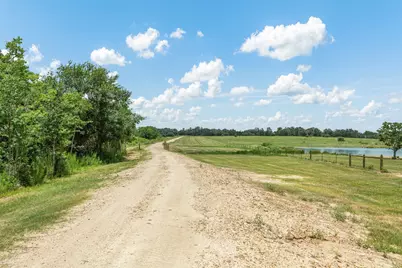 16204 Newberg Rd, Cat Spring, TX 78933 - Photo 9