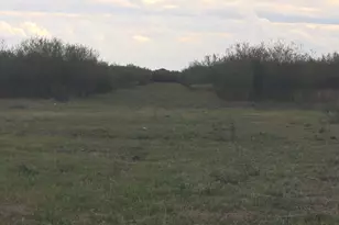 36847 0002 Richard Frey Road Dr, Hempstead, TX 77445 - Photo 23