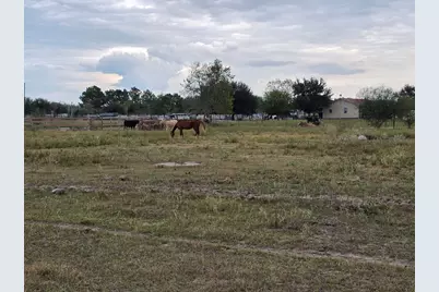 36847 0002 Richard Frey Road Drive, Hempstead, TX 77445 - Photo 25