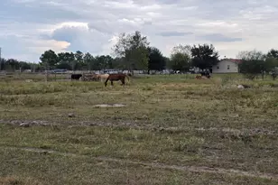 36847 0002 Richard Frey Road Dr, Hempstead, TX 77445 - Photo 25