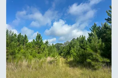 T-1 Fm 943, Kountze, TX 77625 - Photo 5