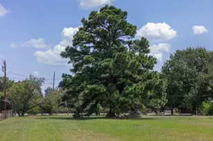 1500 Bluebonnet Dr, College Station, TX 77845 - Photo 15