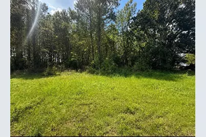 5254 Fm2798, Livingston, TX 77351 - Photo 1