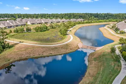 349 Kerry Bog Lane, The Woodlands, TX 77382 - Photo 45
