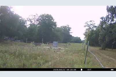 5796 County Road 122, Hallettsville, TX 77964 - Photo 25