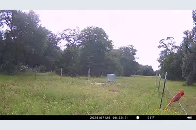 5796 County Road 122, Hallettsville, TX 77964 - Photo 29