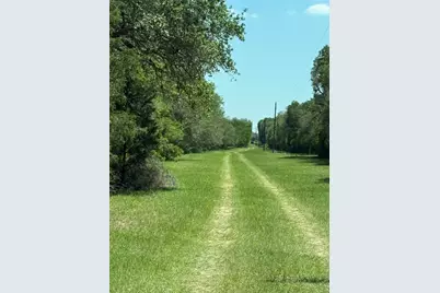 1222 Cr 2152, Rock Island, TX 77470 - Photo 5