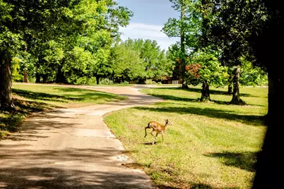 Tbd Lakeland Ranch Lot 422, Hillister, TX 77624 - Photo 15