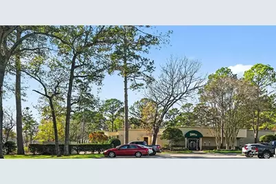 3142 Fitzgerald Drive, Montgomery, TX 77356 - Photo 37